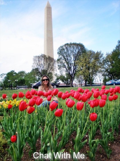Tulips in Washington DC 